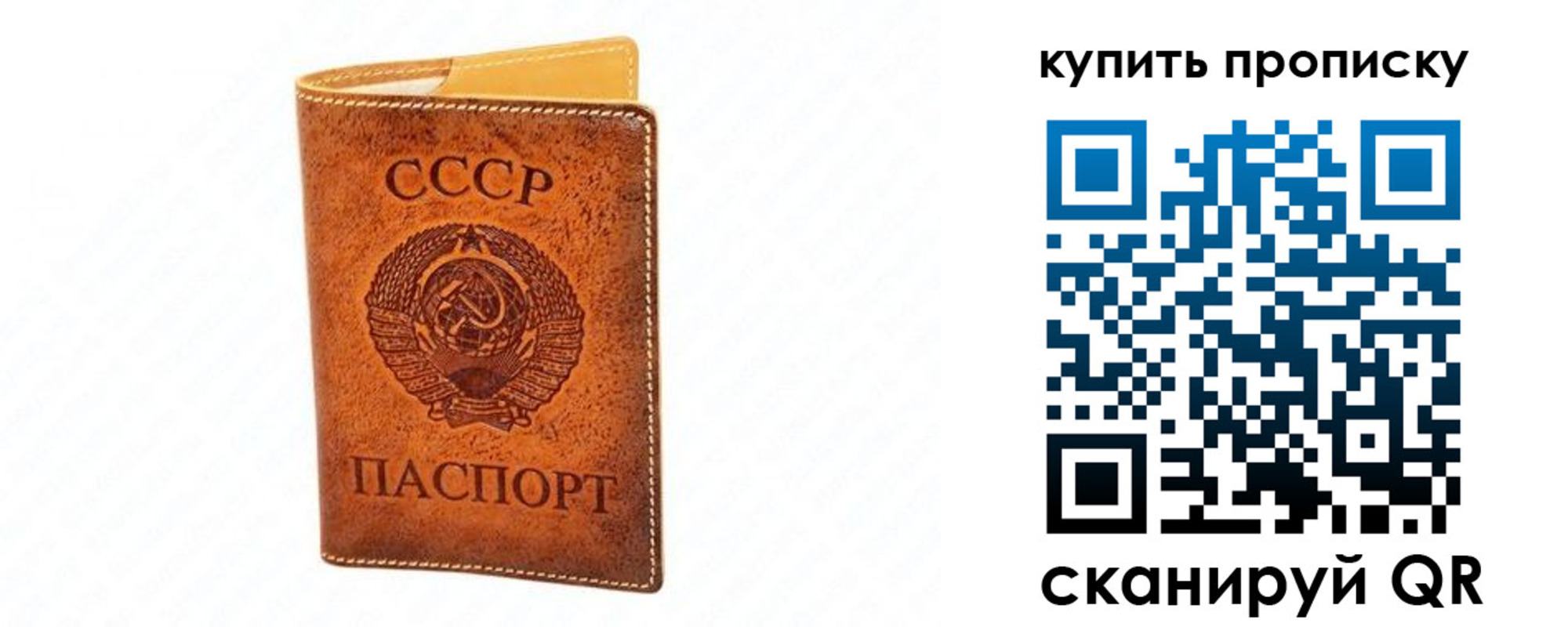 прописка поиск в Почепе