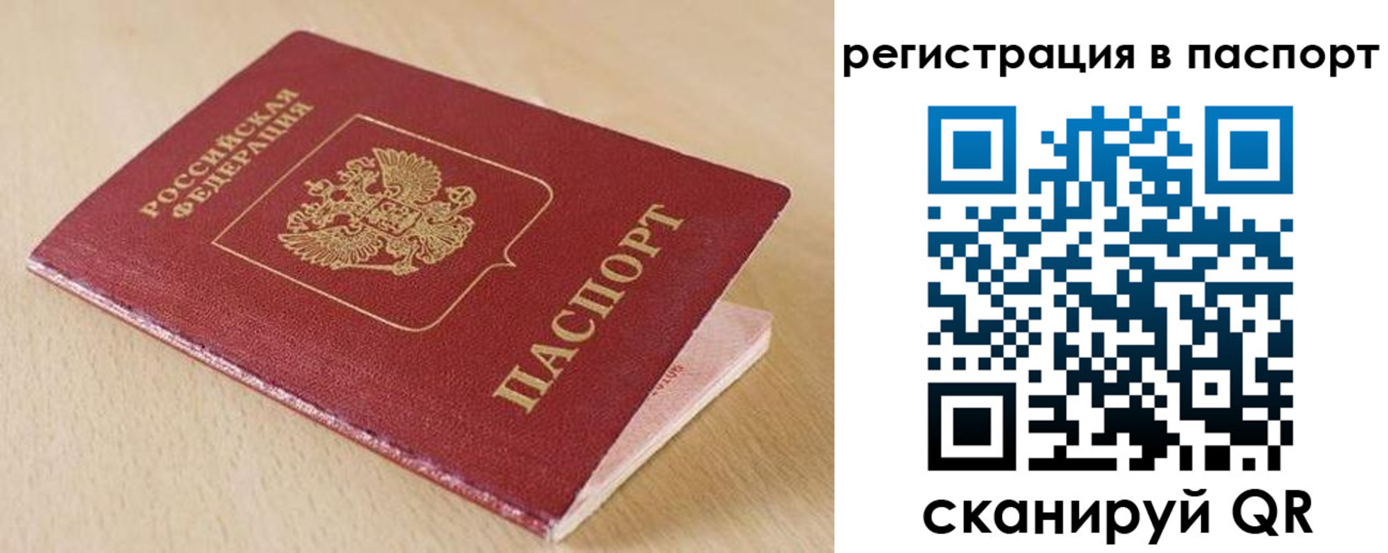 прописка поиск в Почепе