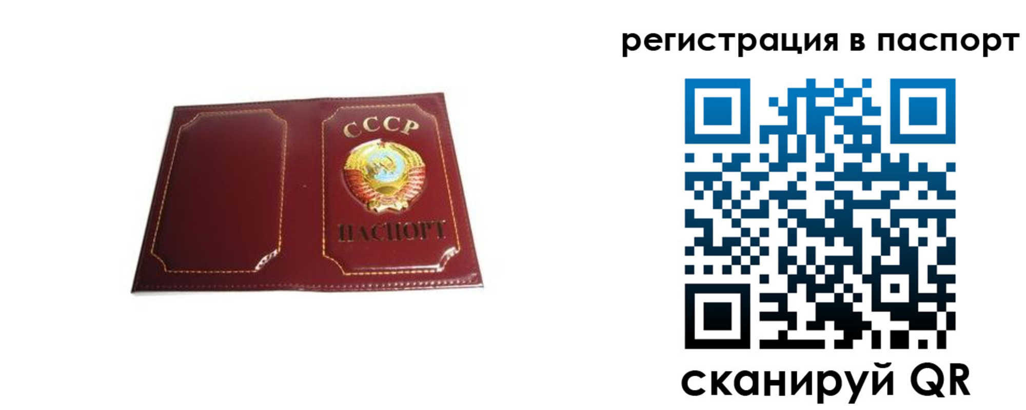 прописка 2025 в Почепе